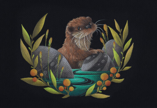 Otter